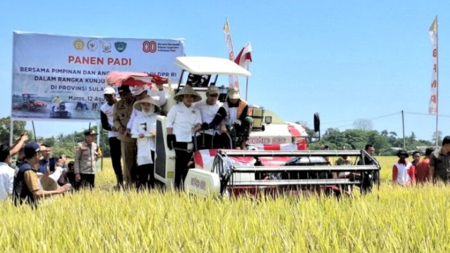 Panen Raya di Maros, Ketua Komisi IV DPR RI Pastikan Bantuan Akan Segera Dikirim