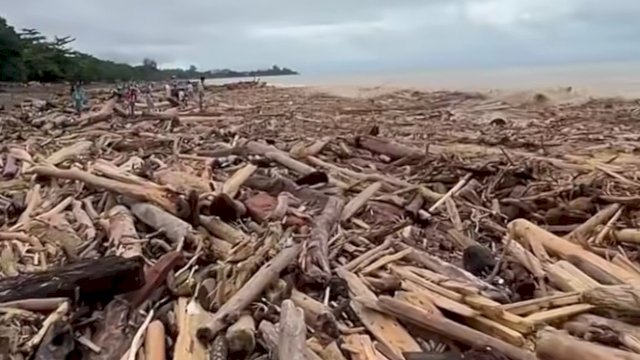 Respon Kemenhut Soal Gelondongan Kayu Terbawa Banjir Bandang di Sumatera 