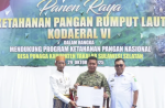 Bupati Takalar Bersama Koderal VI Panen Raya Rumput Laut di Desa Punaga