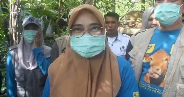 Antisipasi PMK, Pemkot Parepare Lakukan Vaksinasi Selama 3 Bulan