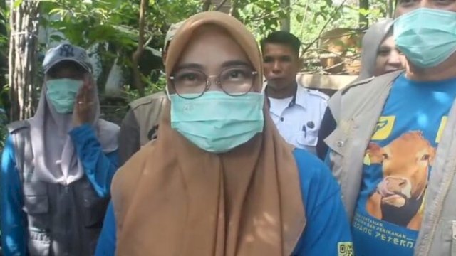 Antisipasi PMK, Pemkot Parepare Lakukan Vaksinasi Selama 3 Bulan