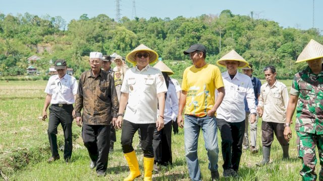 Turun ke Sawah, Wabup Abustan Andi Bintang Ajak Petani Barru Lestarikan Tradisi Mappalili