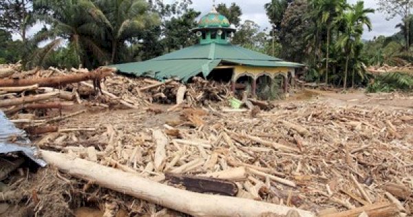 KLHK Telusuri Jejak Kayu Hanyut, Delapan Perusahaan Dipanggil Terkait Banjir Sumut