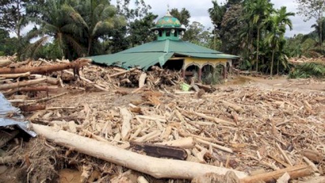 KLHK Telusuri Jejak Kayu Hanyut, Delapan Perusahaan Dipanggil Terkait Banjir Sumut