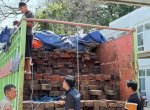 544 Batang Kayu Kumea Tanpa Dokumen Sah Digagalkan Masuk Makassar&nbsp;