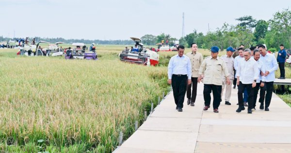 Presiden Prabowo Umumkan Swasembada Pangan Nasional 2025