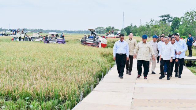 Presiden Prabowo Umumkan Swasembada Pangan Nasional 2025