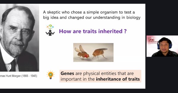 Kelompok Peneliti Unhas Perkenalkan Lalat Buah Sebagai Model Riset Strategis