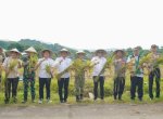Panen Raya Serentak, Barru Tunjukkan Keseriusan Dukung Swasembada Pangan&nbsp;
