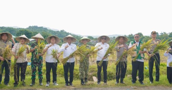 Panen Raya Serentak, Barru Tunjukkan Keseriusan Dukung Swasembada Pangan
