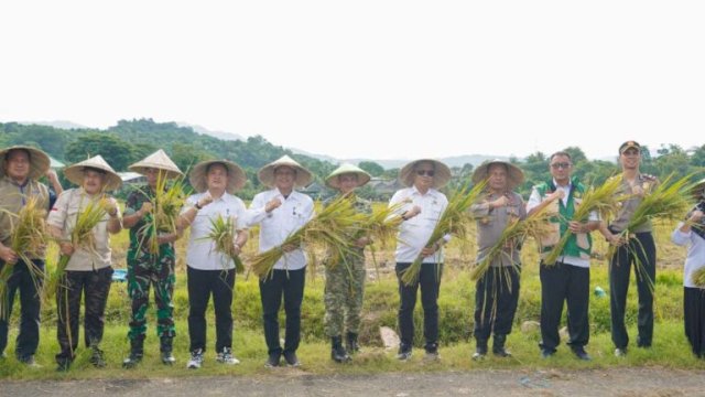 Panen Raya Serentak, Barru Tunjukkan Keseriusan Dukung Swasembada Pangan&nbsp;
