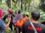 Korban Tersehat Di Hutan Battang Barat Palopo Ditemukan Selamat