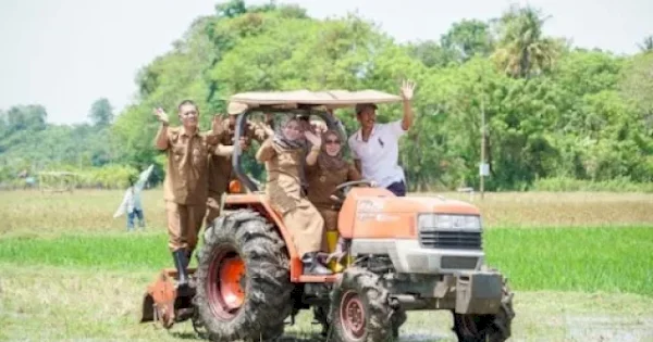 Catat Kenaikan 21,81 Persen, Produksi Padi Kabupaten Barru Lampaui Target Nasional 