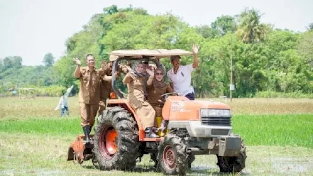 Catat Kenaikan 21,81 Persen, Produksi Padi Kabupaten Barru Lampaui Target Nasional&nbsp;