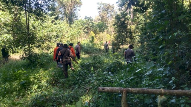 Basarnas Makassar Terjunkan Tim Rescue, Cari Lansia Hilang di Arasoe Bone