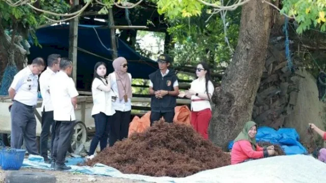 LO Takalar&ndash;China Tinjau Potensi Rumput Laut dan Lawi-Lawi di Punaga, Bidik Pasar Ekspor