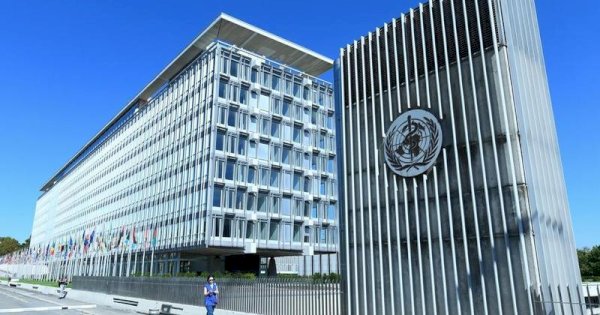 WHO Konfirmasi Kematian Akibat Hantavirus di Kapal Pesiar di Samudra Atlantik