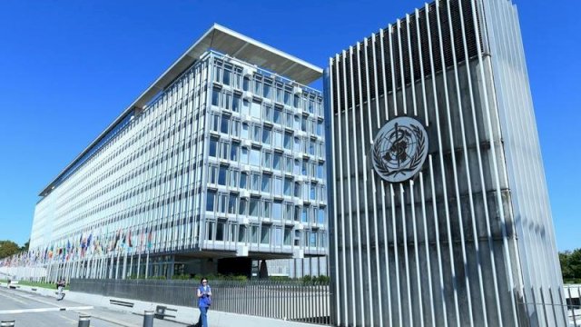 WHO Konfirmasi Kematian Akibat Hantavirus di Kapal Pesiar di Samudra Atlantik