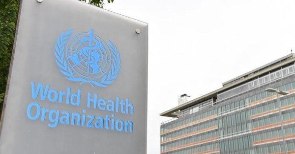 WHO Sebut Seluruh Penumpang Kapal Terdampak Hantavirus sebagai Kontak “Berisiko Tinggi”