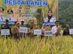 Pemkot Parepare Komitmen Perkuat Sektor Pertanian, Pesta Panen 2025-2026 Berlangsung Meriah