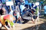 Peringati Hari Lingkungan Sedunia, Gubernur Sulsel Tanam 1.000 Mangrove di Selayar&nbsp;&nbsp;