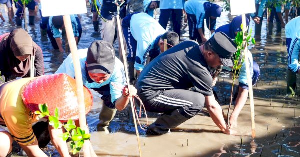 Peringati Hari Lingkungan Sedunia, Gubernur Sulsel Tanam 1.000 Mangrove di Selayar  