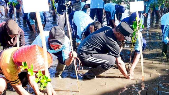 Peringati Hari Lingkungan Sedunia, Gubernur Sulsel Tanam 1.000 Mangrove di Selayar&nbsp;&nbsp;