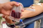 Donor Darah Semarak HKG PKK ke-54 dan 46 Tahun Dekranas, Bantu Jaga Ketersediaan Stok Darah