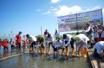 Hari Mangrove Sedunia, Pemprov Sulsel Tanam 7.000 Bibit Mangrove di Pangkep