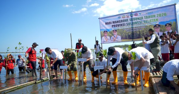 Hari Mangrove Sedunia, Pemprov Sulsel Tanam 7.000 Bibit Mangrove di Pangkep