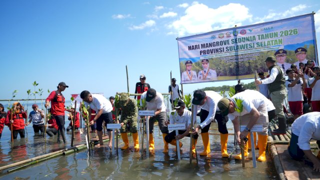 Hari Mangrove Sedunia, Pemprov Sulsel Tanam 7.000 Bibit Mangrove di Pangkep