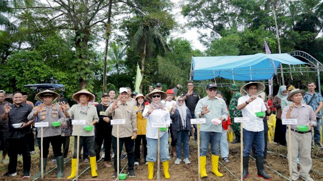 Bupati Barru Andi Ina Kartika Hadiri Tanam Bersama Penangkaran Bibit Jagung JJ UH 01 di Desa Galung
