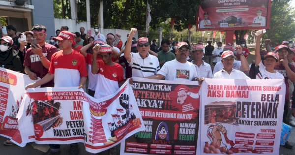 Harga Telur Anjlok dan Pakan Melambung, Peternak Sulsel Rugi Hingga Rp4.000 per Rak Setiap Hari
