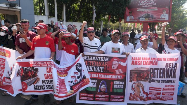 Harga Telur Anjlok dan Pakan Melambung, Peternak Sulsel Rugi Hingga Rp4.000 per Rak Setiap Hari