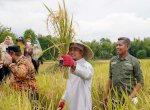 Antisipasi Ancaman El Nino, Gubernur Sulsel Siapkan Bantuan Pompa Air dan Sumur Bor Bagi Lahan Pertanian