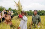 Antisipasi Ancaman El Nino, Gubernur Sulsel Siapkan Bantuan Pompa Air dan Sumur Bor Bagi Lahan Pertanian
