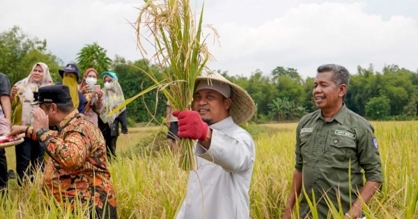 Antisipasi Ancaman El Nino, Gubernur Sulsel Siapkan Bantuan Pompa Air dan Sumur Bor Bagi Lahan Pertanian
