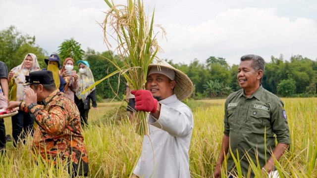 Antisipasi Ancaman El Nino, Gubernur Sulsel Siapkan Bantuan Pompa Air dan Sumur Bor Bagi Lahan Pertanian