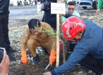 Gerakan Indonesia ASRI Digelar di Belakang Gudang Dolog Soreang, Wali Kota Parepare Tanam Ketapang Kencana