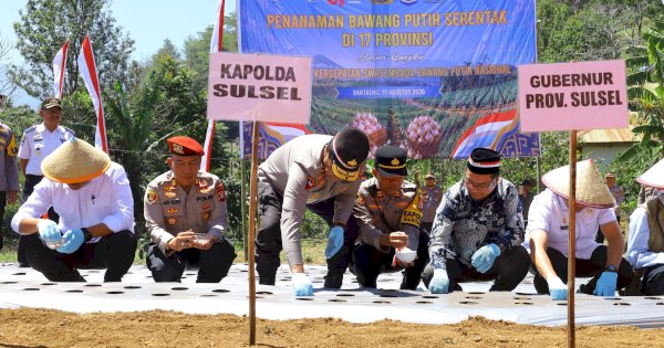 Targetkan 570 Ton Bawang Putih: Polda Sulsel Sulap Lahan Tidur Jadi Kawasan Produktif
