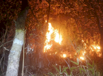 Gubernur Sulsel Andi Sudirman Ajak Masyarakat Cegah Kebakaran Hutan dan Lahan