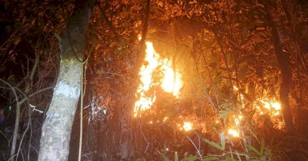 Gubernur Sulsel Andi Sudirman Ajak Masyarakat Cegah Kebakaran Hutan dan Lahan