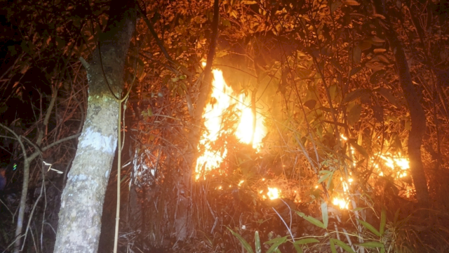 Potret kebakaran hutan di Gunung Nona, Kabupaten Enrekang. (Foto: Pemprov Sulsel) 