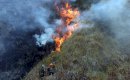 Laporan BNPB: Karhutla Kaltim Capai 10,65 Hektare, Krisis Air Landa 12.946 Jiwa di Jateng