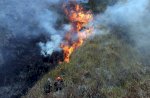 Laporan BNPB: Karhutla Kaltim Capai 10,65 Hektare, Krisis Air Landa 12.946 Jiwa di Jateng