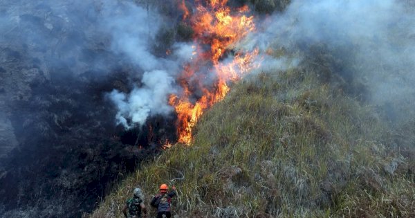 Laporan BNPB: Karhutla Kaltim Capai 10,65 Hektare, Krisis Air Landa 12.946 Jiwa di Jateng
