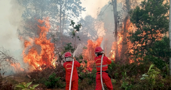 Dampak Karhutla, Kemendikdasmen Akan Terbitkan SE Protokol Pembelajaran Darurat