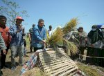Wali Kota Munafri Salurkan 2.000 Liter Pupuk dan Ribuan Kilogram Benih untuk Kelompok Tani Makassar