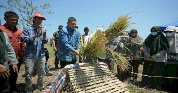 Wali Kota Munafri Salurkan 2.000 Liter Pupuk dan Ribuan Kilogram Benih untuk Kelompok Tani Makassar