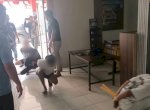 Bentrok Geng Motor Akibatkan Satu Orang Tewas di Makassar, Belasan Anggota Geng Motor Ditangkap